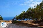 Ancient Thira Santorini | Cyclades Greece | Photo 25 - Photo GreeceGuide.co.uk