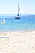 Nikiti and Aghios Nikitas Sithonia | Halkidiki | Greece  Photo 42 - Photo GreeceGuide.co.uk