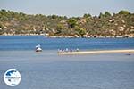 Beaches and nature near Vourvourou | Sithonia Halkidiki | Greece  Photo 3 - Photo GreeceGuide.co.uk