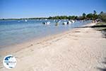 Beaches and nature near Vourvourou | Sithonia Halkidiki | Greece  Photo 9 - Photo GreeceGuide.co.uk