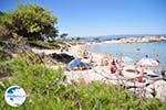 Beaches and nature near Vourvourou | Sithonia Halkidiki | Greece  Photo 19 - Photo GreeceGuide.co.uk