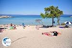 Beaches and nature near Vourvourou | Sithonia Halkidiki | Greece  Photo 21 - Photo GreeceGuide.co.uk