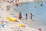 Beaches and nature near Vourvourou | Sithonia Halkidiki | Greece  Photo 25 - Photo GreeceGuide.co.uk