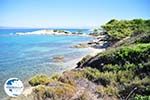 Beaches and nature near Vourvourou | Sithonia Halkidiki | Greece  Photo 26 - Photo GreeceGuide.co.uk