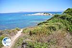 Beaches and nature near Vourvourou | Sithonia Halkidiki | Greece  Photo 31 - Photo GreeceGuide.co.uk