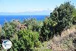 Beaches and nature near Vourvourou | Sithonia Halkidiki | Greece  Photo 34 - Photo GreeceGuide.co.uk