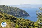 Beaches and nature near Vourvourou | Sithonia Halkidiki | Greece  Photo 35 - Photo GreeceGuide.co.uk