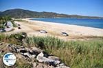 nature Beaches near Sykia and Paralia Sykias | Sithonia Halkidiki | Photo 2 - Photo GreeceGuide.co.uk