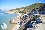 nature Beaches near Sykia and Paralia Sykias | Sithonia Halkidiki | Photo 9 - Photo GreeceGuide.co.uk