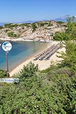 nature Beaches near Sykia and Paralia Sykias | Sithonia Halkidiki | Photo 19 - Photo GreeceGuide.co.uk