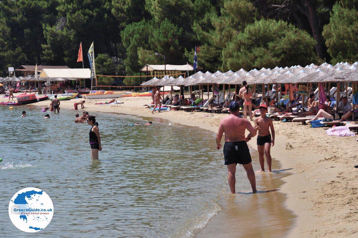 Koukounaries Skiathos Holidays In Koukounaries Greece Guide