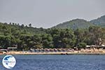 beach Troulos on Skiathos Photo 4 - Photo GreeceGuide.co.uk