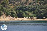 beach near Koutsouri on the island Skiathos Photo 2 - Photo GreeceGuide.co.uk