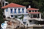 The harbour of Skiathos town Photo 6 - Photo GreeceGuide.co.uk