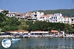 The harbour of Skiathos town Photo 9 - Photo GreeceGuide.co.uk