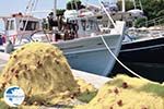 Fishermen's net Skiathos town - Photo GreeceGuide.co.uk