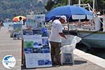 Bootexcursies from Skiathos-stad - Photo GreeceGuide.co.uk