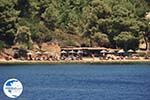 beach Skiathos Palace Koukounaries - Skiathos - Photo GreeceGuide.co.uk