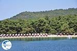 beach Koukounaries - Island of Skiathos - Photo 1 - Photo GreeceGuide.co.uk