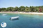 The beautiful beach of Koukounaries - Skiathos - Photo 1 - Photo GreeceGuide.co.uk