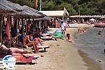 The beach of Koukounaries - Skiathos - Photo GreeceGuide.co.uk