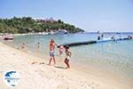 The beach of Koukounaries - Skiathos Photo 3 - Photo GreeceGuide.co.uk