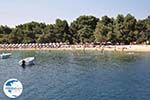 The Sandy beach of Koukounaries - Skiathos - Photo 1 - Photo GreeceGuide.co.uk