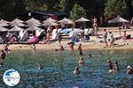 The Sandy beach of Koukounaries - Skiathos - Photo 2 - Photo GreeceGuide.co.uk