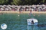 The Sandy beach of Koukounaries - Skiathos - Photo 3 - Photo GreeceGuide.co.uk