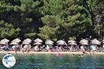 The Sandy beach of Koukounaries - Skiathos - Photo 5 - Photo GreeceGuide.co.uk