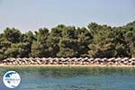 The Sandy beach of Koukounaries - Skiathos - Photo 6 - Photo GreeceGuide.co.uk