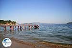 Achladies | Skiathos Sporades | Greece  Photo 8 - Photo GreeceGuide.co.uk