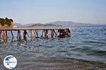 Achladies | Skiathos Sporades | Greece  Photo 9 - Photo GreeceGuide.co.uk