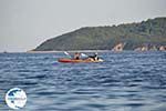 Achladies | Skiathos Sporades | Greece  Photo 10 - Photo GreeceGuide.co.uk