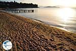 Achladies | Skiathos Sporades | Greece  Photo 11 - Photo GreeceGuide.co.uk