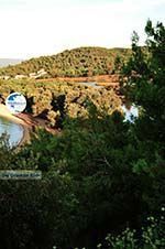 Koukounaries | Skiathos Sporades | Greece  Photo 4 - Photo GreeceGuide.co.uk