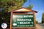 Maratha beach near Koukounaries | Skiathos Sporades | Greece  Photo 1 - Photo GreeceGuide.co.uk