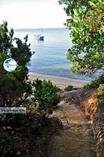 Maratha beach near Koukounaries | Skiathos Sporades | Greece  Photo 3 - Photo GreeceGuide.co.uk