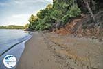 Maratha beach near Koukounaries | Skiathos Sporades | Greece  Photo 5 - Photo GreeceGuide.co.uk