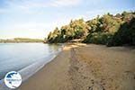 Maratha beach near Koukounaries | Skiathos Sporades | Greece  Photo 7 - Photo GreeceGuide.co.uk