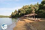 Maratha beach near Koukounaries | Skiathos Sporades | Greece  Photo 10 - Photo GreeceGuide.co.uk