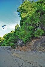 Maratha beach near Koukounaries | Skiathos Sporades | Greece  Photo 13 - Photo GreeceGuide.co.uk