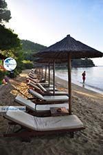 Maratha beach near Koukounaries | Skiathos Sporades | Greece  Photo 14 - Photo GreeceGuide.co.uk