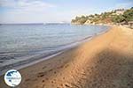 Troulos beach | Skiathos Sporades | Greece  Photo 4 - Photo GreeceGuide.co.uk