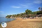 Troulos beach | Skiathos Sporades | Greece  Photo 9 - Photo GreeceGuide.co.uk