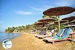 Troulos beach | Skiathos Sporades | Greece  Photo 10 - Photo GreeceGuide.co.uk