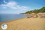 Aghia Paraskevi (Platanias beach) | Skiathos Sporades | Greece  Photo 13 - Photo GreeceGuide.co.uk