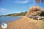 Aghia Paraskevi (Platanias beach) | Skiathos Sporades | Greece  Photo 15 - Photo GreeceGuide.co.uk
