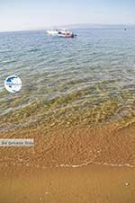 Aghia Paraskevi (Platanias beach) | Skiathos Sporades | Greece  Photo 17 - Photo GreeceGuide.co.uk