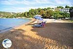 Aghia Paraskevi (Platanias beach) | Skiathos Sporades | Greece  Photo 28 - Photo GreeceGuide.co.uk